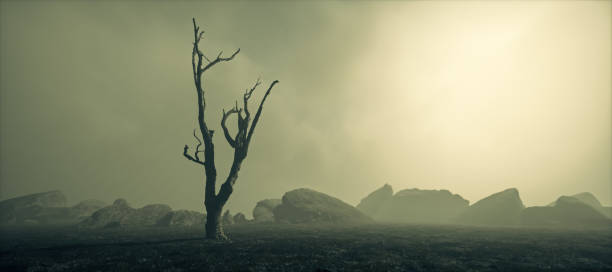 istock Dead tree in misty barren rocky landscape with cloudy sky. 1657050722