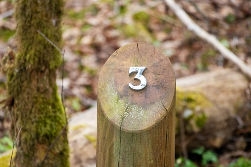 fence post in the forest with sign 3