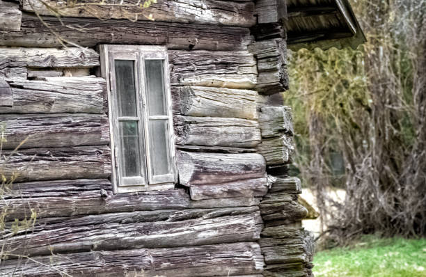 istock Old wooden Amaya in the forest 1657056345