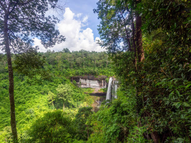istock The height full water waterfall in green forest. 1657079512