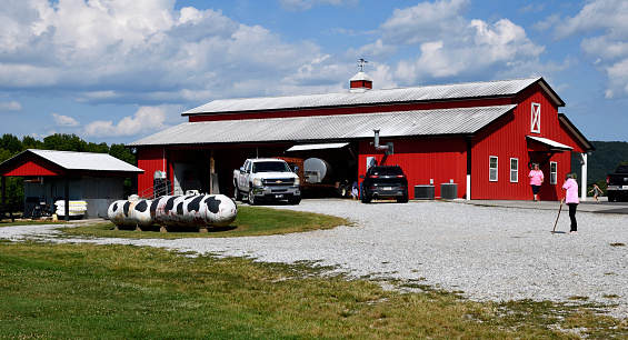 Popular dairy visited by tourist that purchase ice cream, milk and other diary products located at Cleveland, Georgia, USA