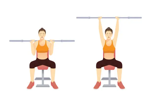 Vector illustration of Sport woman doing workout with empty Barbell in Barbell shoulder press pose on bench. Illustration about exercise diagram for arm and chest and shoulder.