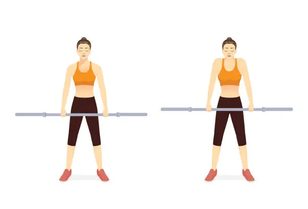 Vector illustration of Sport woman doing exercise by barbell shoulder shrugs pose with empty Barbell in 2 step. How to Build Muscle at the shoulder weight lifting equipment.