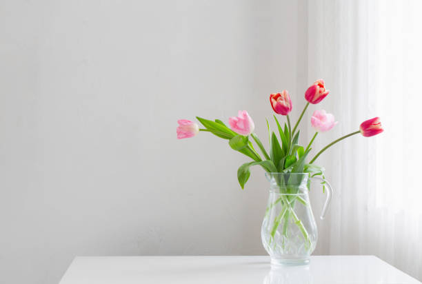 istock tulips in glass vase on white background 1657100333