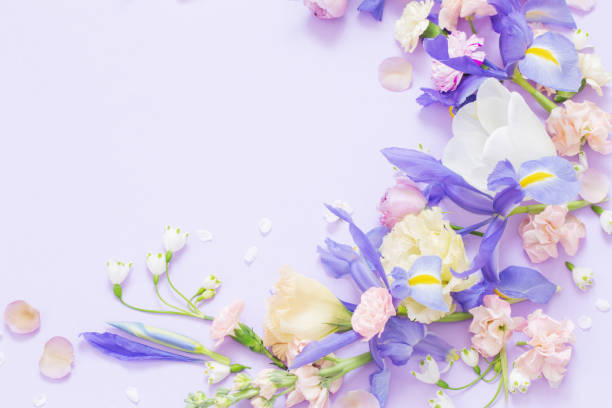 istock beautiful spring flowers on paper background 1657100335