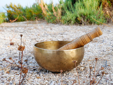 Singing bowl placed in the wild