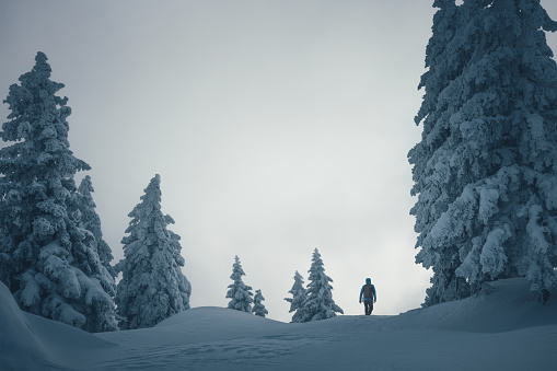Man hiking in idyllic winter landscape with snowcapped trees.