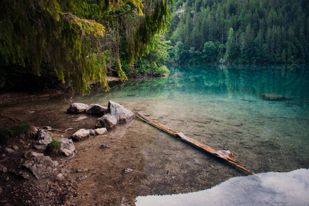 istock beautifull view on the tovel lake 1657141236