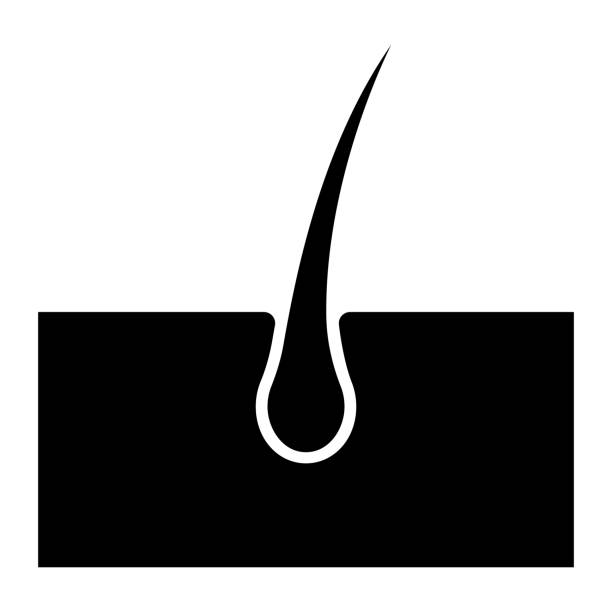 haarwurzel isolierte vektorsilhouette - fell stock-grafiken, -clipart, -cartoons und -symbole