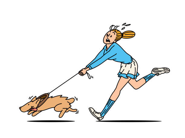 illustrations, cliparts, dessins animés et icônes de jeune femme marchant avec un chien. hommes d’affaires vecteur clipart. - fitness trainer