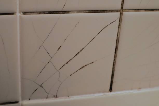 istock Unsanitary and dilapidated bathroom 1657167586