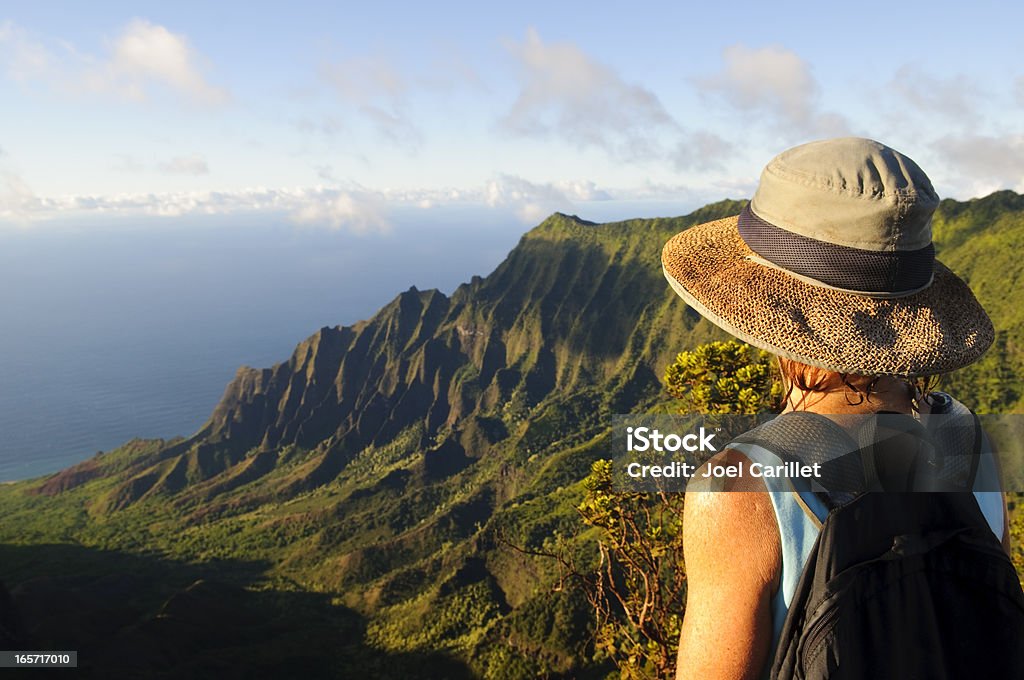 Mulher ao ar livre, olhando para a dramática vista e futuro em Kauai - Royalty-free Havai Foto de stock