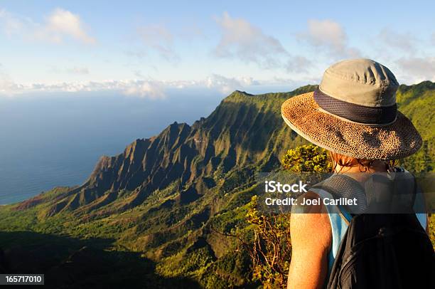 Mulher Ao Ar Livre Olhando Para A Dramática Vista E Futuro Em Kauai - Fotografias de stock e mais imagens de Havai