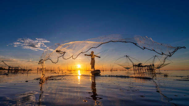 siluetta del pescatore getta le reti per catturare il pesce al mattino sul lago nel villaggio di pakpra, phatthalung, thailandia - fishermen harbor foto e immagini stock