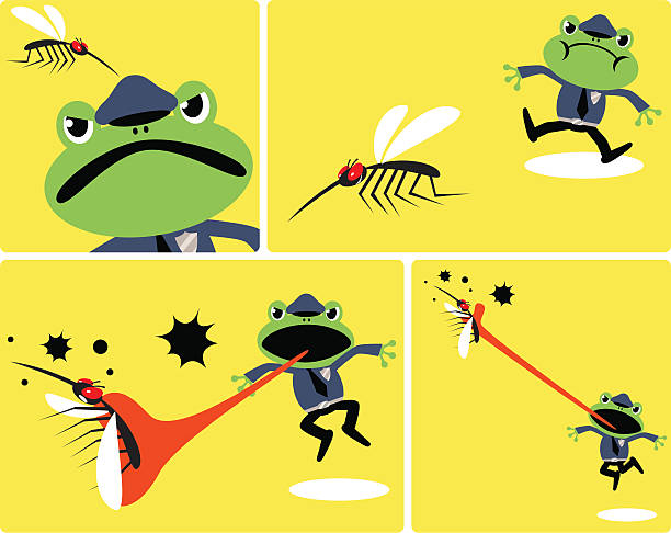 illustrations, cliparts, dessins animés et icônes de grenouille police attraper moustique - frog animal tongue animal eating