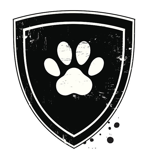 ilustrações de stock, clip art, desenhos animados e ícones de pata com garras escudo - paw print paw shield vector