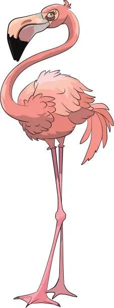 Vector illustration of pink flamingo