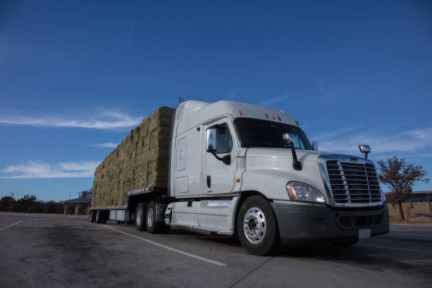 istock Heavy truck full loaded with hay 1657198897