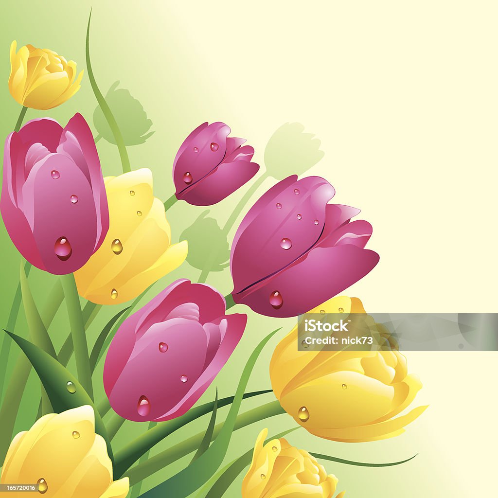 Wielkanoc kwiatowy tło - Grafika wektorowa royalty-free (Tulipan)