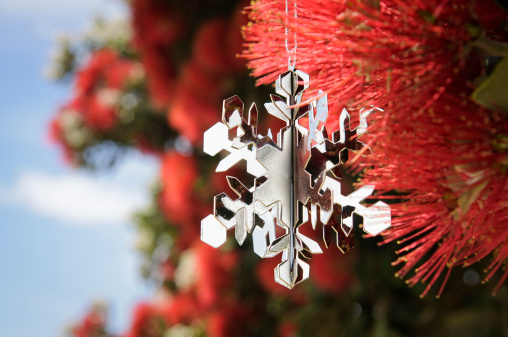 A silver Christmas snowflake decoration in a flowering Pohutukawa Tree (aka New Zealand Christmas Tree) in December, during summer for the Southern Hemisphere.