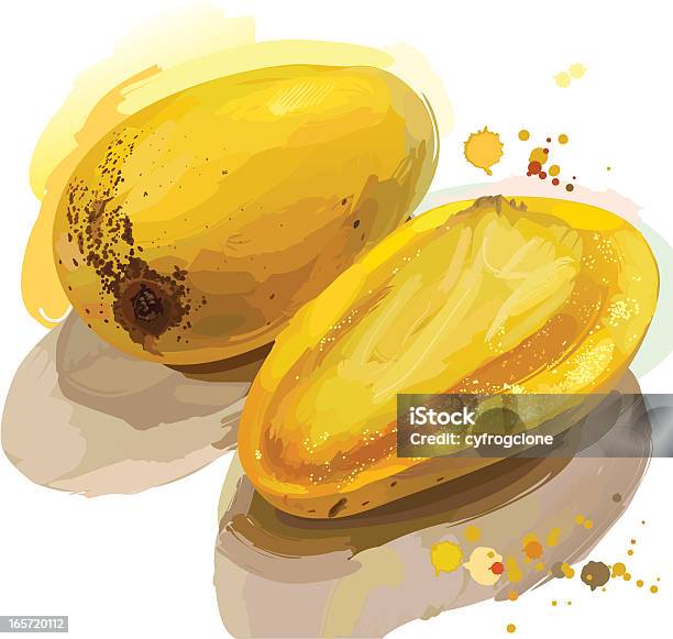 Mango Stock Illustration - Download Image Now - Fruit, Oil Painting, Acrylic Painting