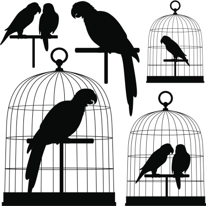 A vector illustration of parrots in silhouette. The larger birds are macaws and the smaller ones are love birds.