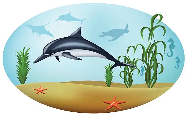 Vector illustration of Dolphin