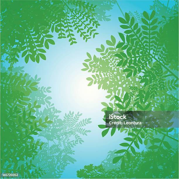 Primavera Canopy - Immagini vettoriali stock e altre immagini di Copertura di alberi - Copertura di alberi, Albero, Cielo
