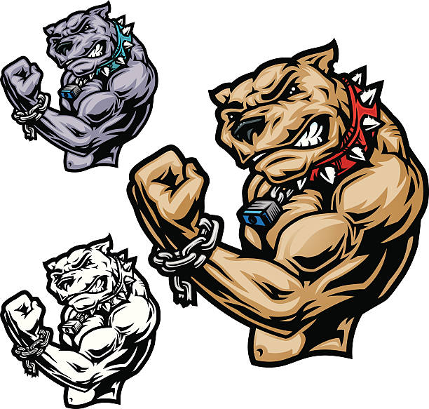 Pit Bull Power This is an illustration of a Pit Bull flexing it's muscle and power. This file includes a second colored version along with a Black and White. Simple and easy to edit. The larger Pit Bull has some minor gradients but the smaller version in the left does not. All secondary color levels are removable down to a simple flat color image. The file is provided as an Illustrator 8 EPS and a 300dpi high-rez jpg. nasty dog stock illustrations