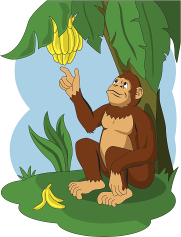 Vector illustration a monkey eating bananas .No gradients used. Objects grouped for easy editing. Created with AI CS3.