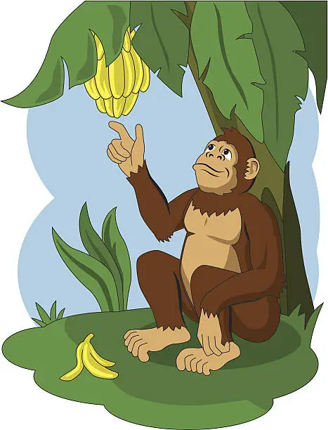 Vector illustration of monkey banana jungle