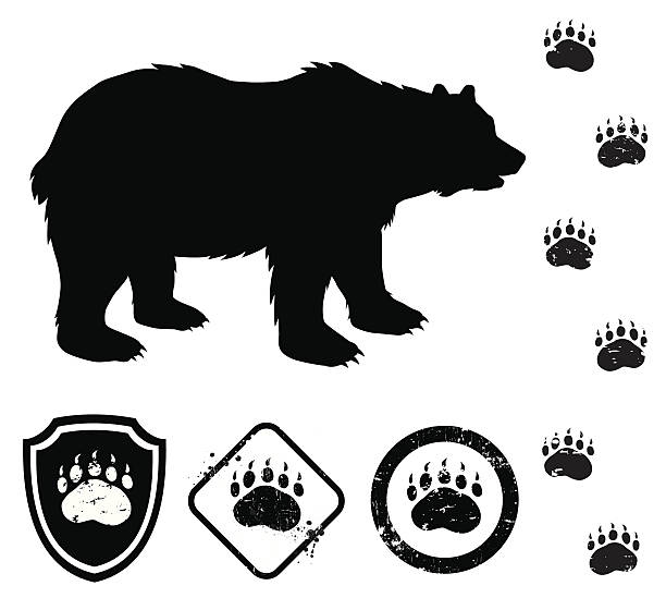 bear e placas - ilustração de arte em vetor