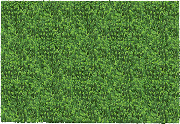 Grass Texture vector art illustration