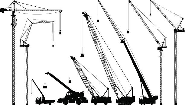 Cranes vector art illustration