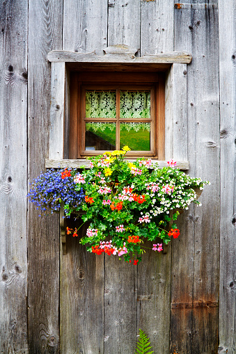 Old windows with Flower
