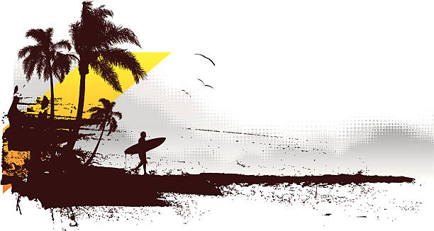 surf-reise - lifestyle sports and fitness travel locations water stock-grafiken, -clipart, -cartoons und -symbole