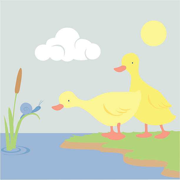 Ducklings Meet a Snail vector art illustration