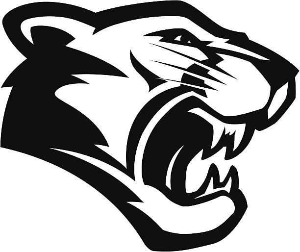 Cougar head mascot B&W Stylized powerful cougar mascot, black and white version. No separated layers in this file. panthers stock illustrations