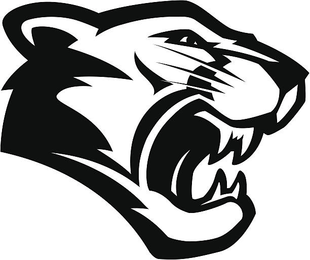 Cougar head mascot B&W Stylized powerful cougar mascot, black and white version. No separated layers in this file. leopard stock illustrations