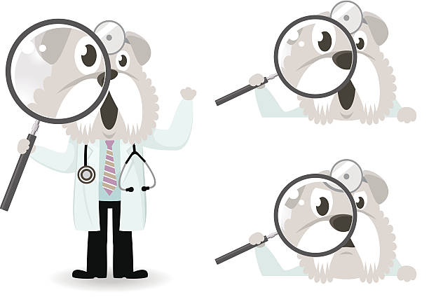 dog holding a magnifier врача, баннер заголовка - flu virus hygiene doctor symbol stock illustrations