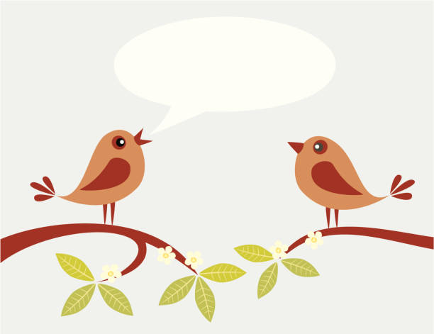 Spring news Two cute birds speaking on spring branch. bird quotes stock illustrations