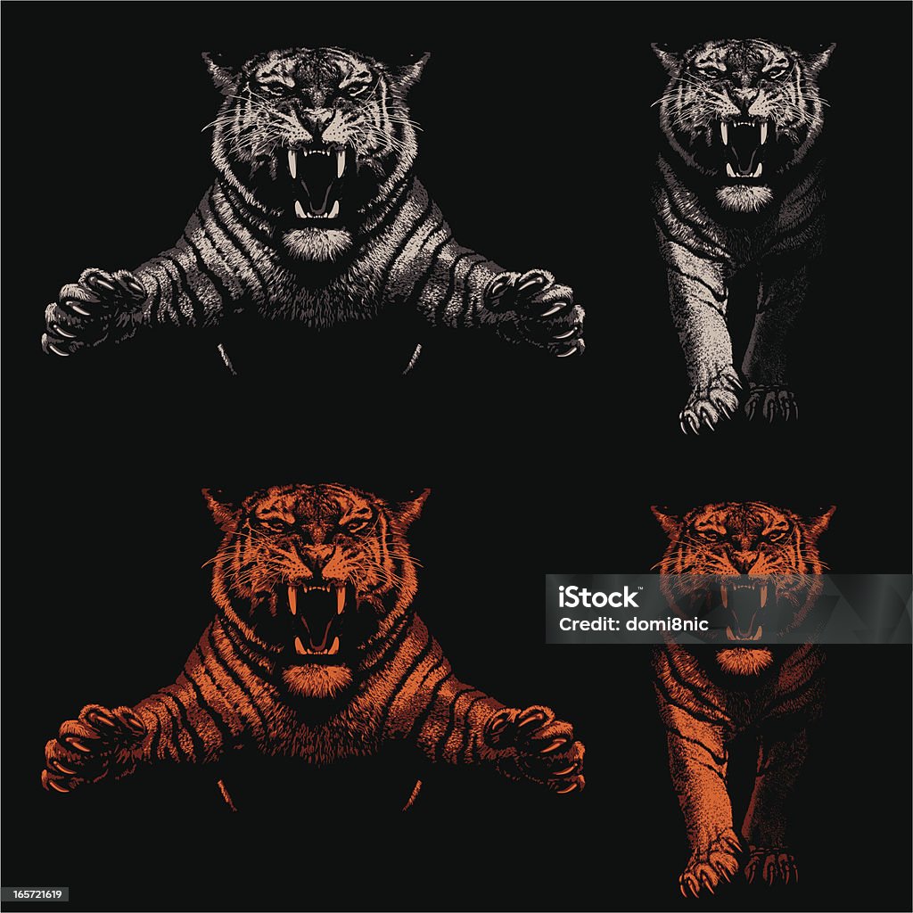 Menace Tigers-Ombre et lumière - clipart vectoriel de Tigre libre de droits