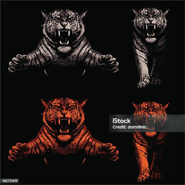 Perigo De Tigresluz E Sombra - Arte vetorial de stock e mais imagens de Tigre - Tigre, Vetor, Rugir