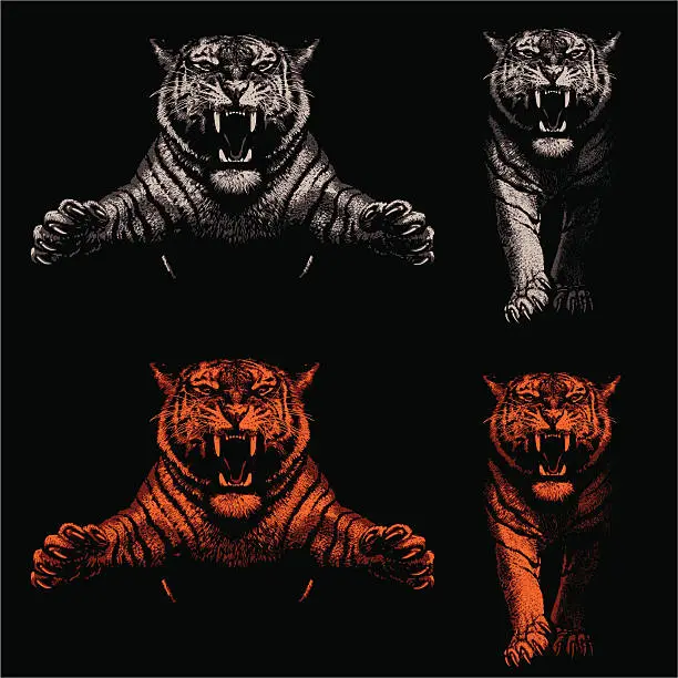 Vector illustration of Threatening Tigers - Light and Shadow