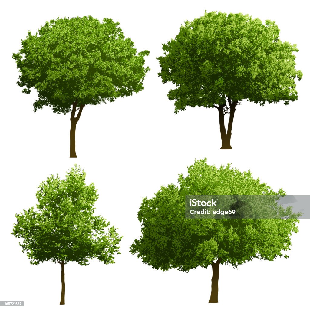 Tree Illustrations Set of four tree illustrations. All elements are separate objects, grouped and layered. Each tree is separate layer. File is made with gradient. Global color used. 300dpi jpeg included. Please take a look at other works of mine linked below. Tree stock vector