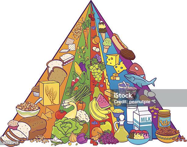 Moderne Food Pyramid Stock Vektor Art und mehr Bilder von Ernährungspyramide - Ernährungspyramide, Vektor, Illustration