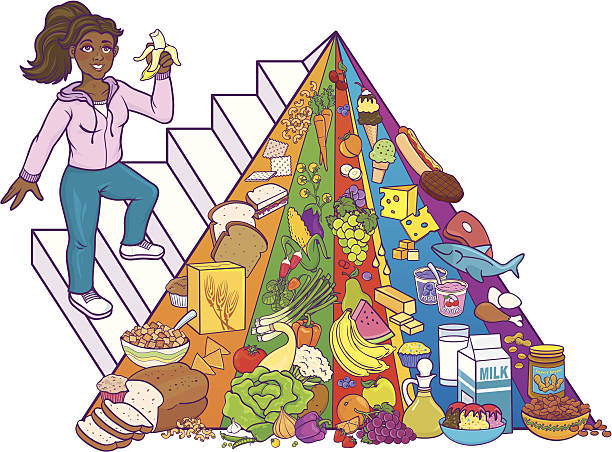 Cartoon Healthy Food Pyramid