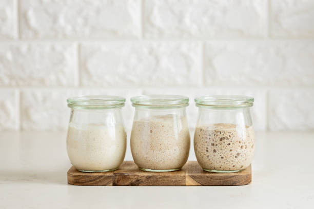 Three glass jars with active sourdough starter. Spelt, rye, and wheat. stock photo