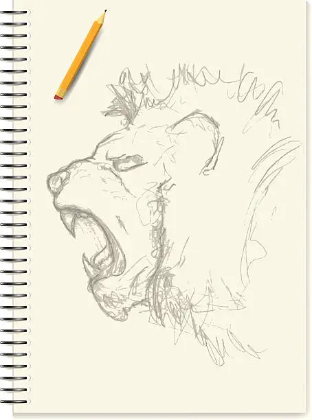 Vector illustration of Sketches - Lion