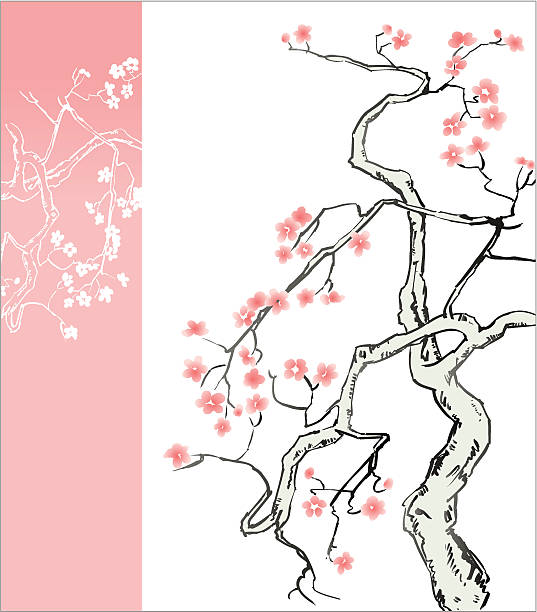 Blossom Tree Blossom symbolise love and happiness blossom peach blossom plum blossom zen like stock illustrations